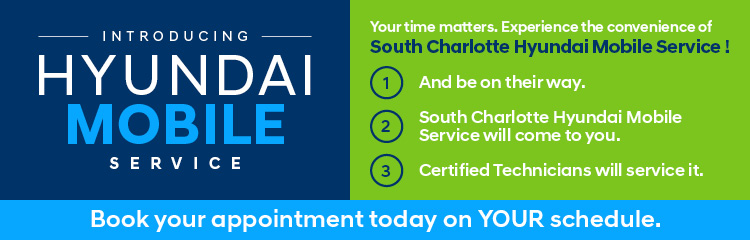 129165 WB SCHY banner sm